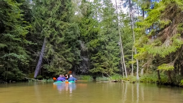 Struga Krawno - zdjęcie 7