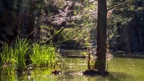 Spływ kajakowy - rzeka Struga Krawno - zdjęcie 6