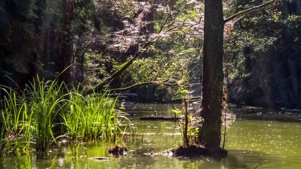 Struga Krawno - zdjęcie 6