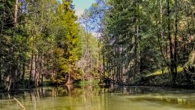 Spływ kajakowy - rzeka Struga Krawno - zdjęcie 5