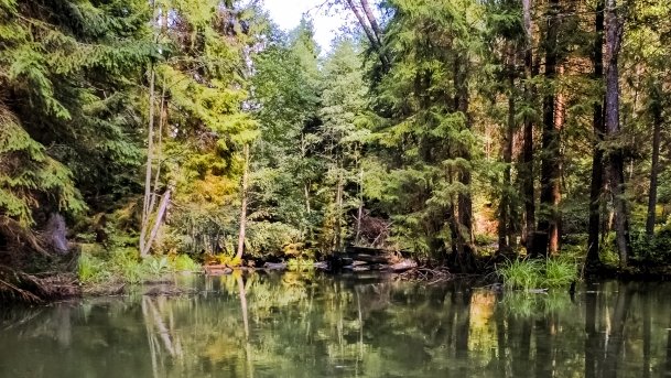 Struga Krawno - zdjęcie 4