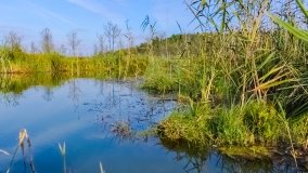 Spływ kajakowy - rzeka Struga Krawno - zdjęcie 2