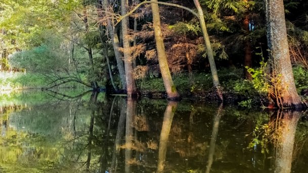 Struga Krawno - zdjęcie 1