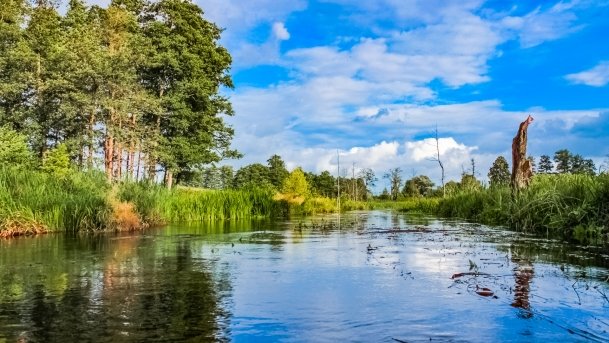 Węgorapa - zdjęcie 19