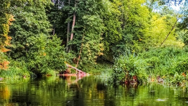 Węgorapa - zdjęcie 18