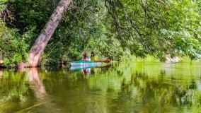 Spływ kajakowy - rzeka Węgorapa - zdjęcie 17