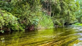 Spływ kajakowy - rzeka Węgorapa - zdjęcie 15