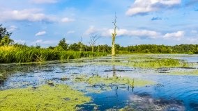 Spływ kajakowy - rzeka Węgorapa - zdjęcie 14