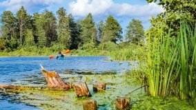 Spływ kajakowy - rzeka Węgorapa - zdjęcie 13