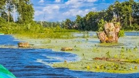 Spływ kajakowy - rzeka Węgorapa - zdjęcie 11