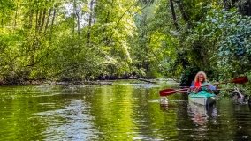 Spływ kajakowy - rzeka Węgorapa - zdjęcie 10
