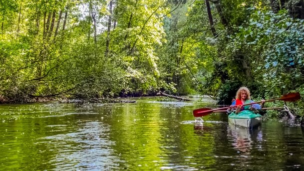 Węgorapa - zdjęcie 10