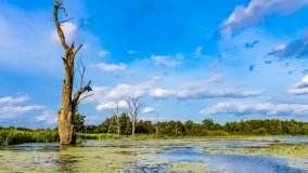 Spływ kajakowy - rzeka Węgorapa - zdjęcie 9