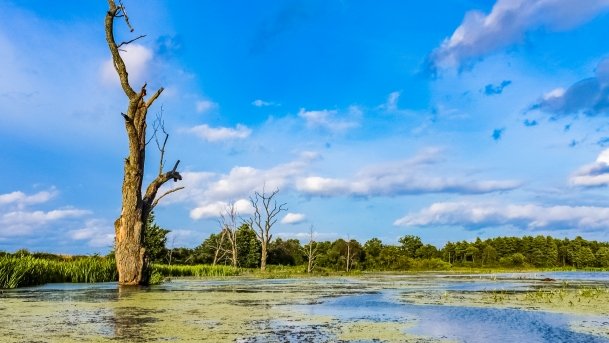 Węgorapa - zdjęcie 9