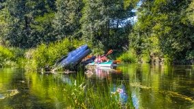 Spływ kajakowy - rzeka Węgorapa - zdjęcie 6