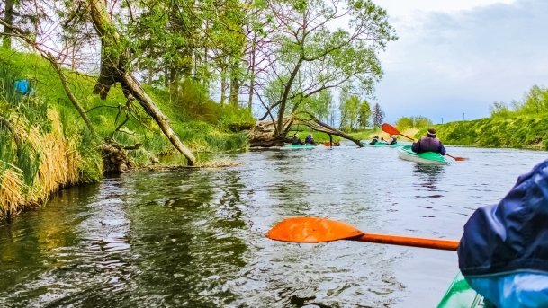 Węgorapa - zdjęcie 4