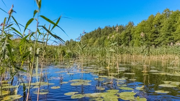 Krutynia - zdjęcie 30