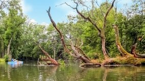 Spływ kajakowy - rzeka Krutynia - zdjęcie 105