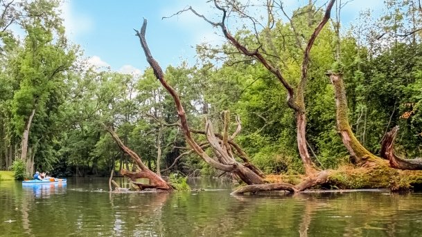 Krutynia - zdjęcie 21