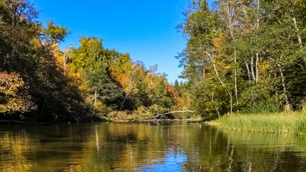 rzeka Krutynia - zdjęcie 22
