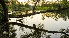 Spływ kajakowy - rzeka Krutynia - zdjęcie 102