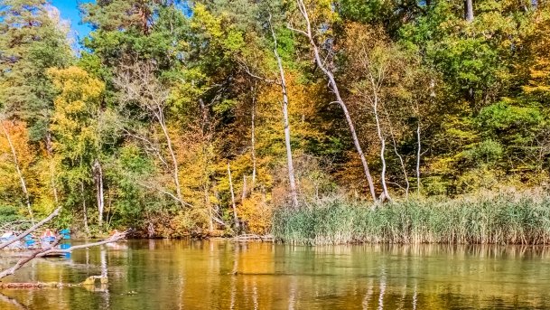 rzeka Krutynia - zdjęcie 20