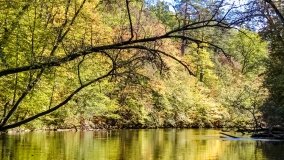 Spływ kajakowy - rzeka Krutynia - zdjęcie 100