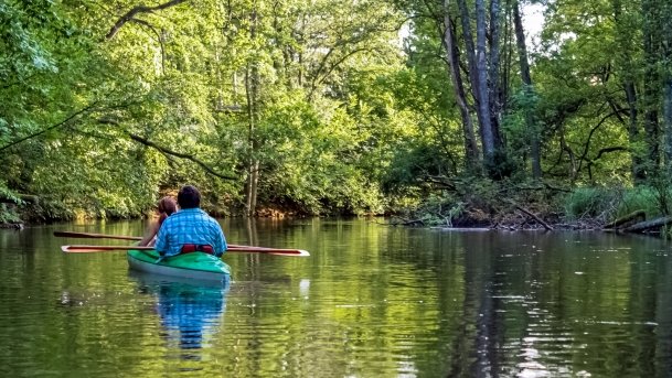 rzeka Krutynia - zdjęcie 19