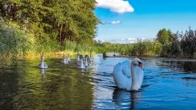 Spływ kajakowy - rzeka Węgorapa