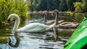 Spływ kajakowy - rzeka Krutynia - zdjęcie 38