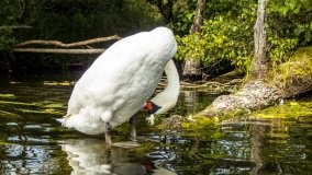 Spływ kajakowy - rzeka Krutynia - zdjęcie 37