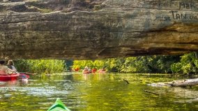 Spływ kajakowy - rzeka Krutynia - zdjęcie 26