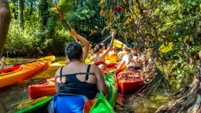 Spływ kajakowy - rzeka Krutynia - zdjęcie 16