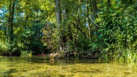 Spływ kajakowy - rzeka Krutynia - zdjęcie 10