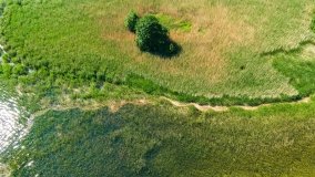 Poganckie Kępy - zdjęcie 16