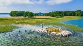 Poganckie Kępy - zdjęcie 14