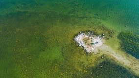 Poganckie Kępy - zdjęcie 12