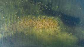 Poganckie Kępy - zdjęcie 8