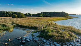 Poganckie Kępy - zdjęcie 6
