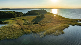 Poganckie Kępy - zdjęcie 4