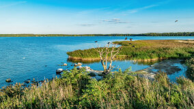 Poganckie Kępy - zdjęcie 3