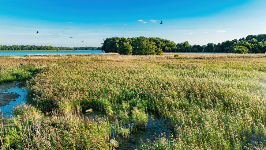Poganckie Kępy - zdjęcie 1