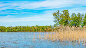 jezioro Dobskie - zdjęcie 15