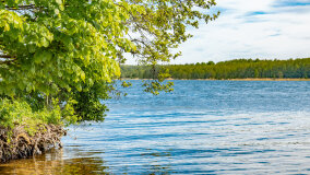 jezioro Dobskie - zdjęcie 13