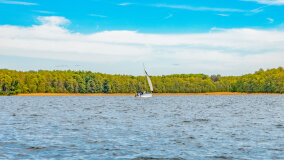 jezioro Dobskie - zdjęcie 12