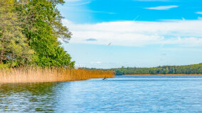 jezioro Dobskie - zdjęcie 11