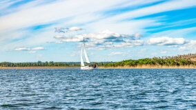 Wyspa Kormoranów - zdjęcie 7