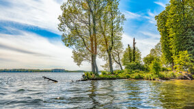 Wyspa Heleny - zdjęcie 13