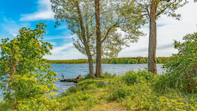 Wyspa Heleny - zdjęcie 12