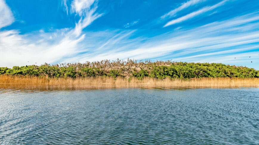 Wyspa Kormoranów - zdjęcie 1
